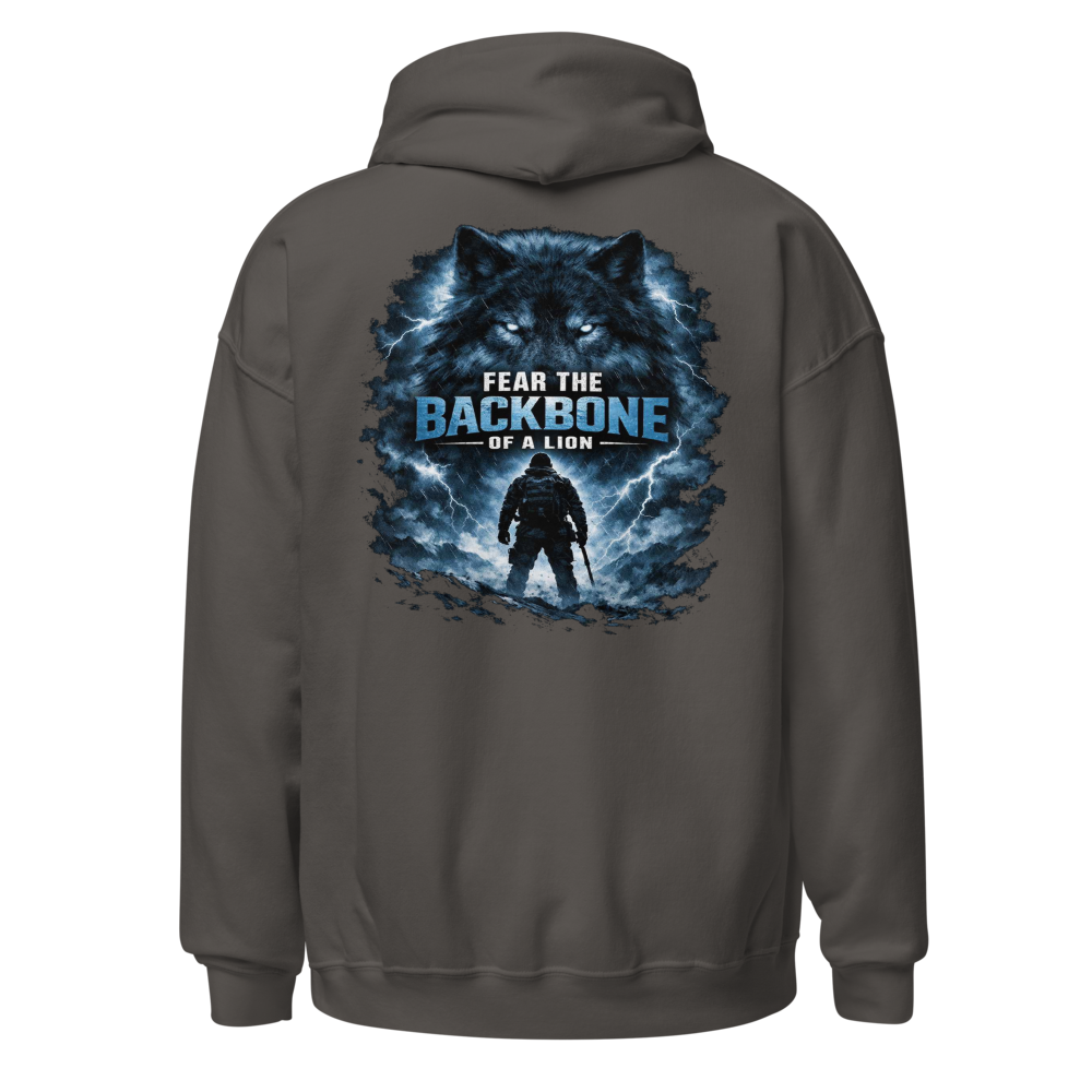 Stormwalker Outpost — Compass Badge Hoodie — Back (Charcoal)